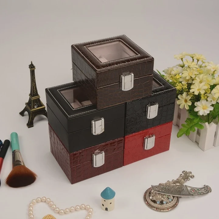 Luxury Watch Display Case